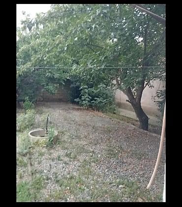 mingecevir ev satisi: Həyətyanı sahəli bir məhle evi satilir, ev Gencede Atabeylerde 8 sotda — 9