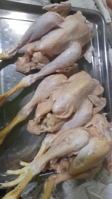 Другие птицы: Другие птицы — 2