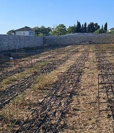 razinde bina evleri: Kənd təsərrüfatı — 2