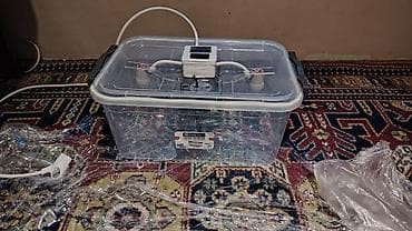Təcili satılır inkubator 💯% çıxım sınaqdan keçim əla məhsuldur telesin