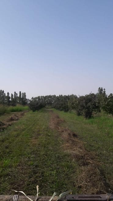 torpaq qobuda: Kənd təsərrüfatı, Kommunal xətlər qoşulmayıb — 2