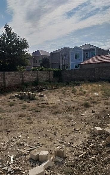 Tikinti, Kupça (Çıxarış)