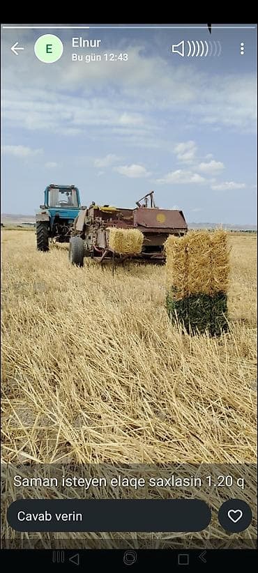 ev itleri ucuz: Cox tecili satilir 1500 1400 hec bir prablemi yoxdu ge bagla bax — 1