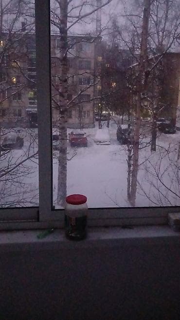 avto 444: Avtobus — 10