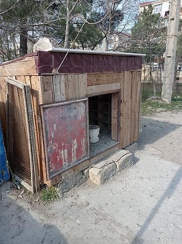 heyvan satisi: Quşxana satılır içinin xanələri səliqəlidir 90 dənə xanəsi var — 5