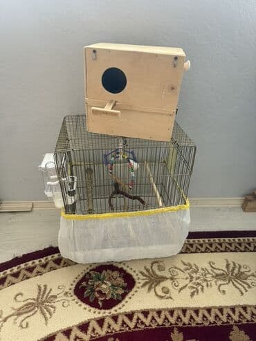 Nissan: Quş qəfəsi dəsti - Material: metal barmaqlıqlar, möhkəm plastik — 5