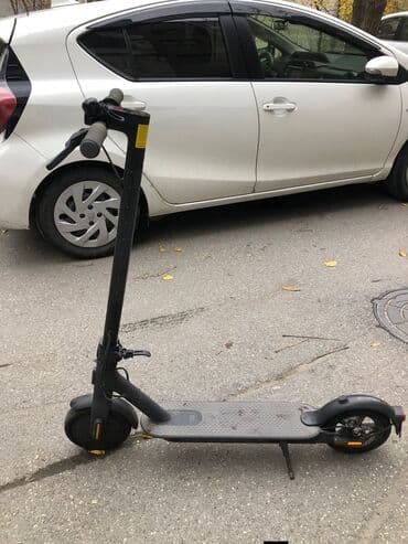 BAW: Elektrik samokat 9", 251 - 350 Vt, 36 - 45 km/s — 2