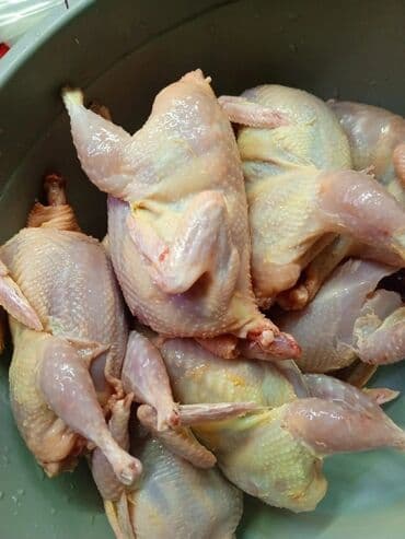 сливочное масло в баку: Təmizlənmiş və dri halda bildirçinlər satılır Ünvan Quba 2 Nügədi — 1