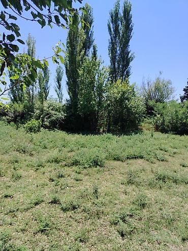 emlak alqi satqisi: 200 sot, Mülkiyyətçi, Kupça (Çıxarış) — 3