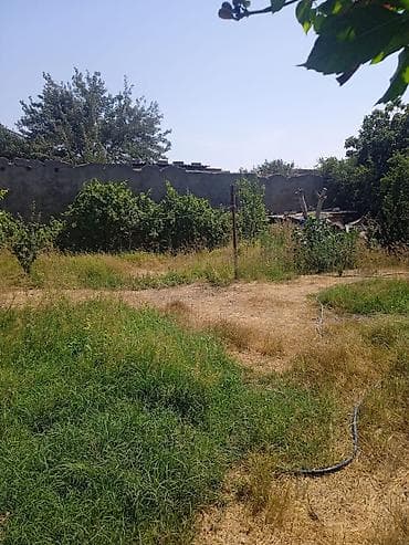 Mənzillər: 4 sot, Tikinti, Maklerlər narahat etməsin, Kupça (Çıxarış), Texniki pasport — 8