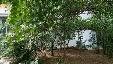 hezi aslanovda 3 otaqli evler: M. Həzi Aslanov, 2 otaqlı, Yeni tikili, m. Həzi Aslanov, 71 kv. m — 20