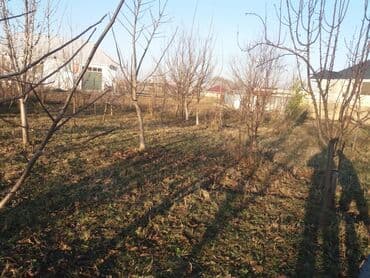 аренда и продажа недвижимости: 13 соток, Для сельского хозяйства, Собственник, Договор — 9