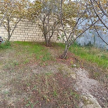 1 sot nece hektar: 24 sot — 9