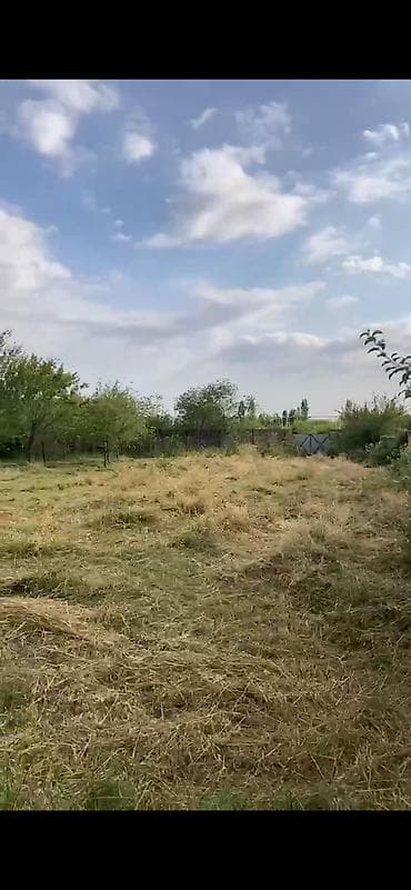 12 sot, Mülkiyyətçi, Kupça (Çıxarış)