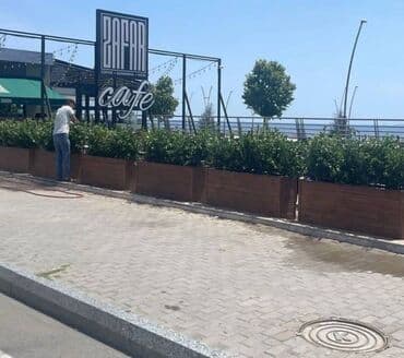 dekorativ otaq bitkiləri: Bu taxda dipçekin ölçusu 100x30x55 Bu standart alinan ölçudur — 2