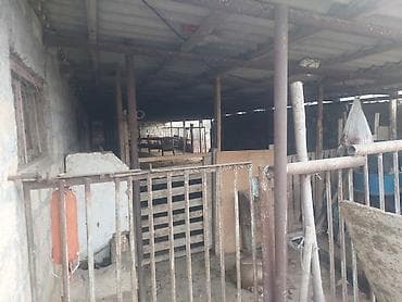 qobu torpaq satilir: Kənd təsərrüfatı — 3