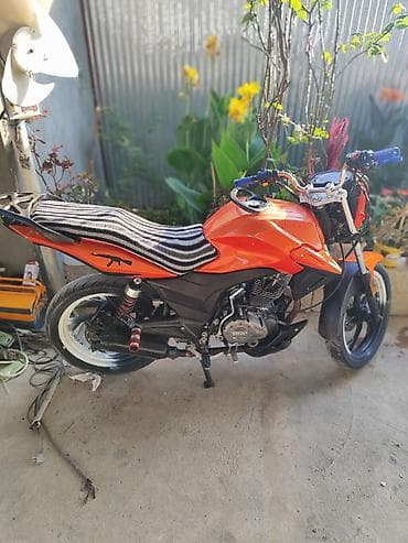 moped 200: Tufan - S150, 150 sm3, 2023 il, 15000 km — 6