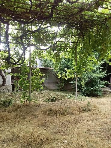 hokmelide heyet evi: 5 otaqlı, 244 kv. m — 6