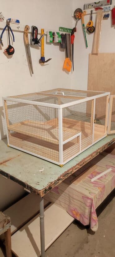 balaca dovşan: Yeni yığılıb dovşan,siçan,xomyak,hamster ve S ev heyvanları üçün — 6