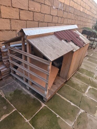 Taxta it evi / heyvan evi - Material: tamamilə taxtadan yığılmış