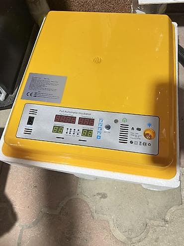 inkubator aparatı: Tam avtomat — 1