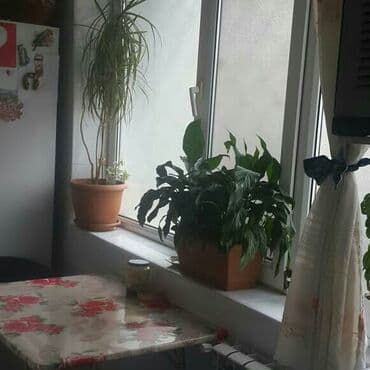 дом в забрате: Баку, 5 комнат, Вторичка, 120 м² — 10