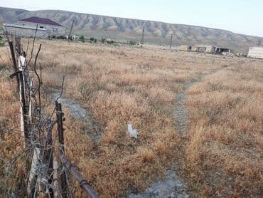 xacmaz torpaq: 42 sot, Kənd təsərrüfatı — 5