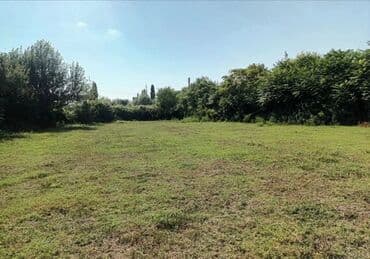 10 sot, Tikinti, Kupça (Çıxarış)