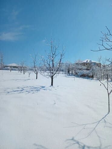 goycayda torpaq satılır: 10 sot, Kənd təsərrüfatı, Maklerlər narahat etməsin, Kupça (Çıxarış) — 1