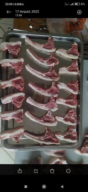 xadime axtarilir: Daimi Kababci lazim olsa zeng edin. Butun nov milli kabablari,vitrin — 1