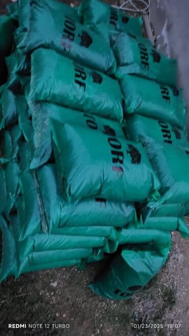 sari kok: Torf bbitgilerin kok atmasinda şitllerin yetsdrlmesine otaq gulleri — 2