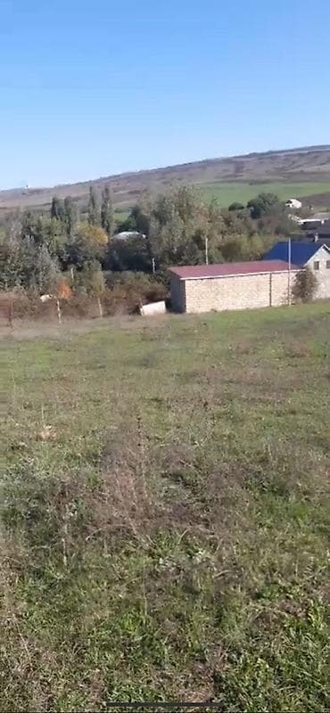 samaxi: 10 sot, Tikinti — 1