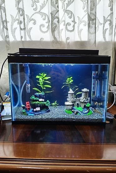 heyvan: Dördbucaq akvarium, Boş, 14 l, Ödənişli çatdırılma — 4