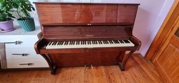 Аккордеоны: Пианино, Rönisch, Акустический — 3