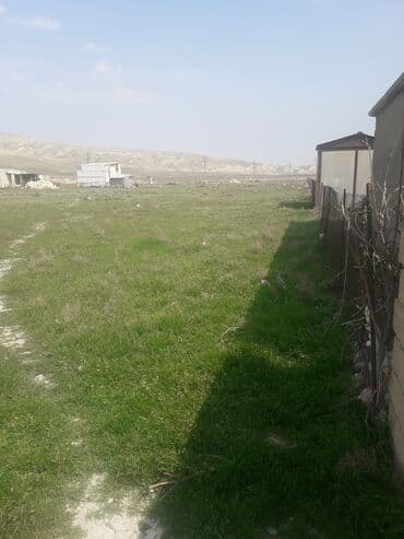 xacmaz torpaq: 42 sot, Kənd təsərrüfatı — 3