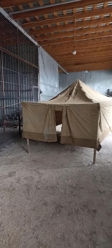 Çadır palatka brzentdir Eni 2.25 Uzunu 3.5 Hun orta 1.6 Hun yanlar 1 lalafo.az -da Çadır palatka brzentdir Eni 2.25 Uzunu 3.5 Hun orta 1.6 Hun yanlar 1