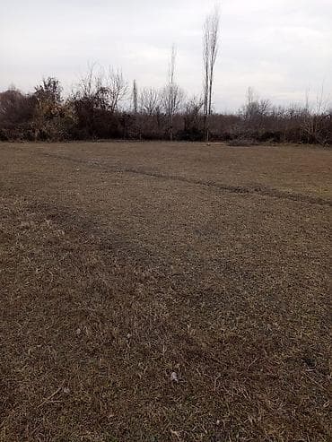 18 sot, Tikinti, Mülkiyyətçi, Kupça (Çıxarış) — 2