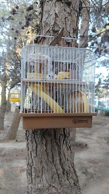 hamster satis: Hamster üçün tam dəst qəfəs - Brend: Dayang Pet Products - İki — 2