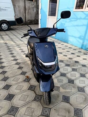 elekdirikli sukutur: - AIMA, 2024 il — 7