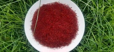 Tebii bilgeh zeferanı