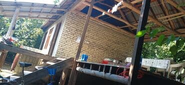 findiq ləpəsi: Salam bağ Qəbələ rayon Nic qəsəbəsində dir bağ 67 sotdan ibarətdir 170 — 10