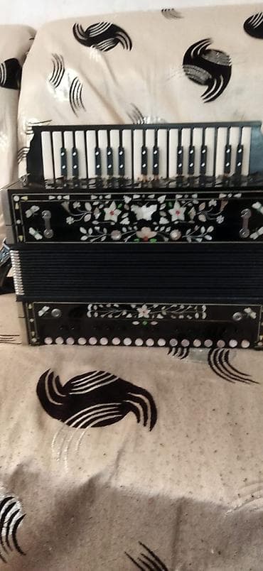 qarmon satisi: Цифровой Аккордеон — 2