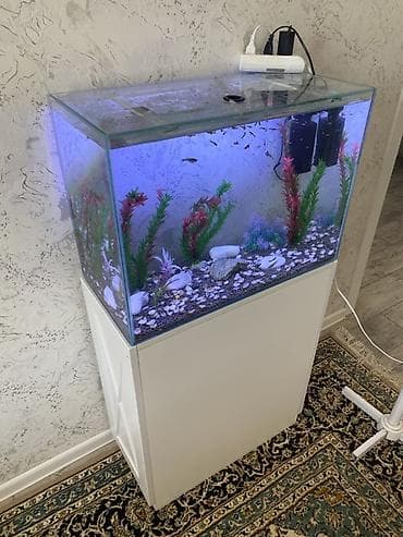 gence akvarium: Akvarium-şkaf, Balıqlarla birlikdə, 90 l, Ünvandan götürmə — 1
