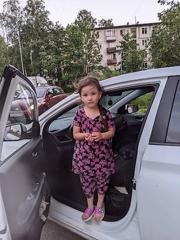 Собаки: Taxta quşxana / quş yuvası - Material: tamamilə taxtadan yığılıb — 2