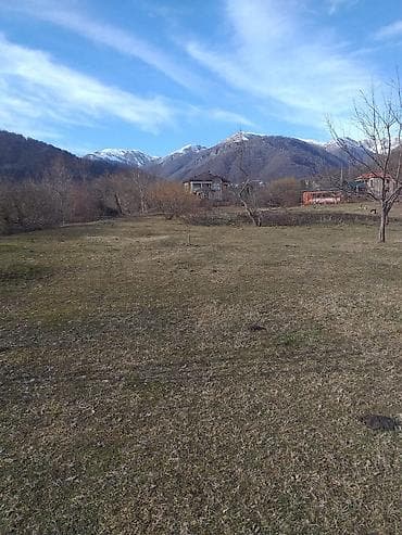 qalada xasaxunada ev torpaq: Tikinti — 6