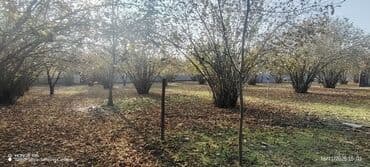 saray qəsəbəsi: 10 sot, Tikinti, Barter mümkündür, Kupça (Çıxarış) — 3