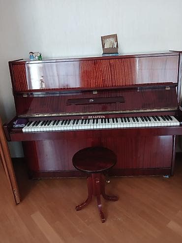 Digər musiqi alətləri