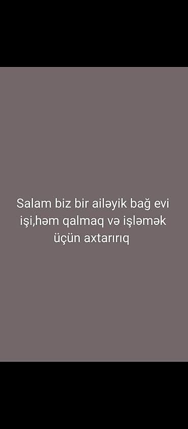 derzi iş: Bağ evi üçün ailəvi baxıcı/xidmətçi işi axtarılır. Mətn: “Salam, biz — 1