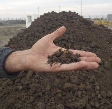 dibcək gulləri ev gulleri ve adlari: Torpaq, bağçılıq və ya tikinti işləri üçün yararlı ola bilər. Təmiz və — 3