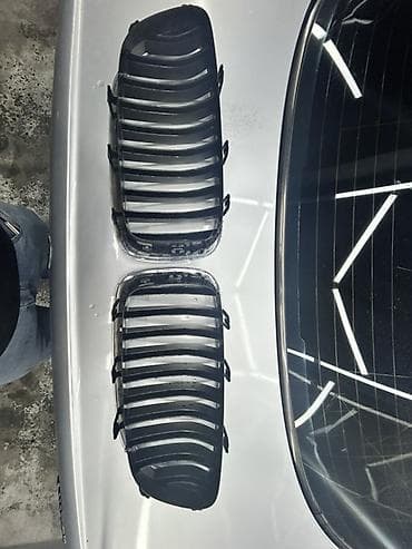 Oblisovkalar, barmaqlıqlar: Məhsul: Avtomobil üçün ön radiator barmaqlığı (çərçivəli “böyrək” — 4
